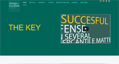Desktop Screenshot of nye.com.mx